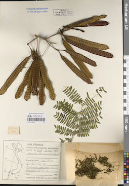 LE 01170915