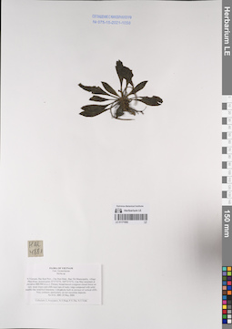 LE 01171052