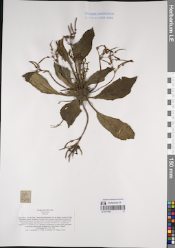 LE 01171057