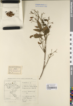 LE 01170920