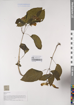 LE 01171126