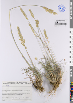 LE 01177040