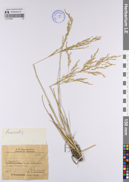 LE 01199263