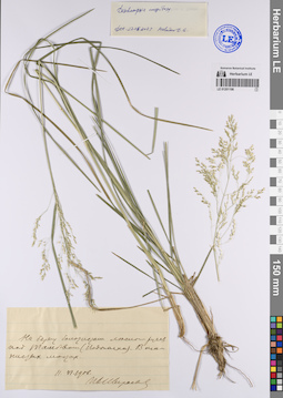 LE 01201198