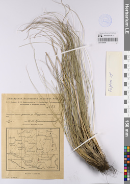 LE 01206386