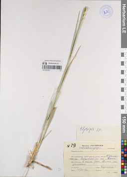 LE 01227817