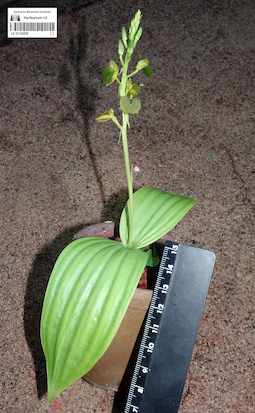 LE 01124258