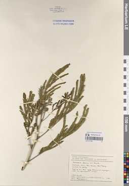 LE 01171158