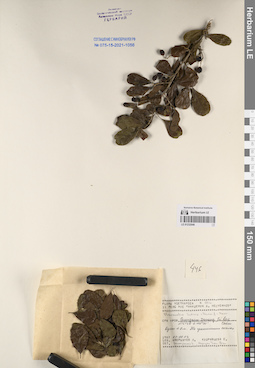 LE 01232046