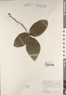 LE 01232047