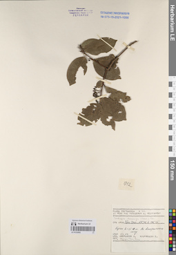 LE 01232052