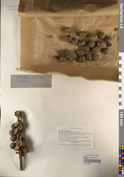 LE 01232063