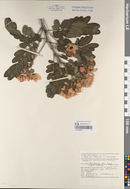 LE 01232075