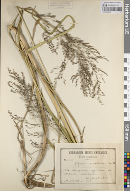 LE 01240330