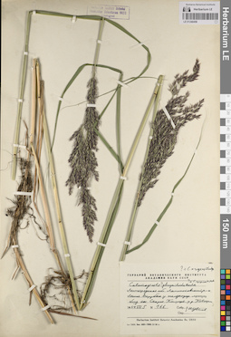 LE 01240458