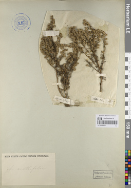 LE 01239234
