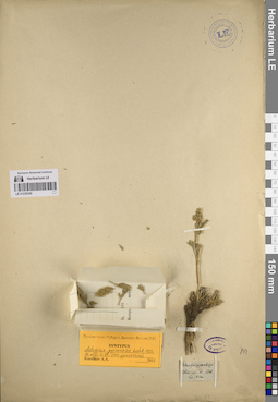 LE 01239350