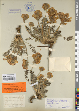 LE 01053179