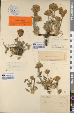 LE 01053181
