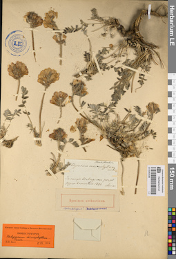 LE 01053182
