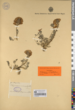 LE 01053187