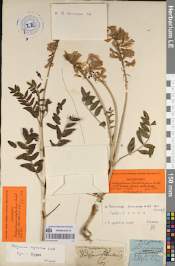 LE 01053190