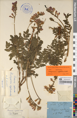 LE 01053191