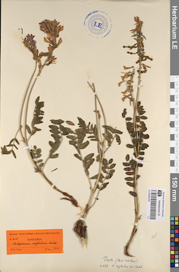 LE 01053192