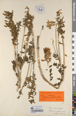 LE 01053193