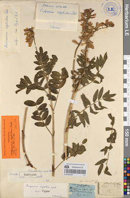 LE 01053194