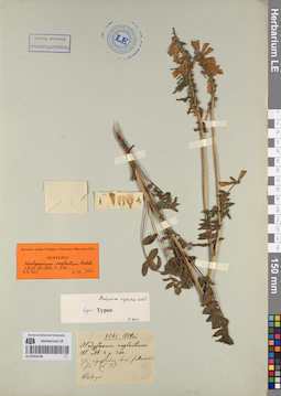 LE 01053196