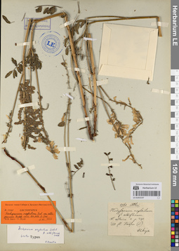 LE 01053197