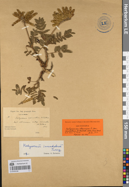 LE 01053198