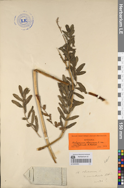 LE 01053201