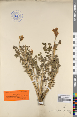 LE 01053206