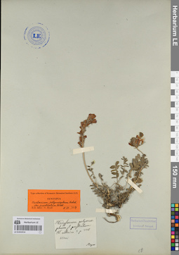 LE 01053210