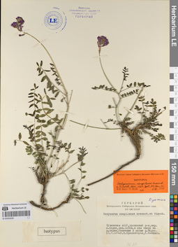 LE 01053224