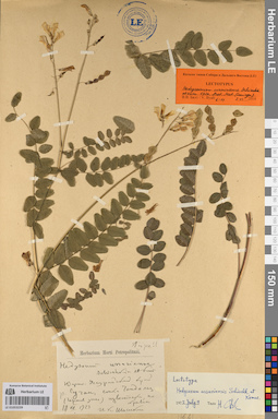 LE 01053239