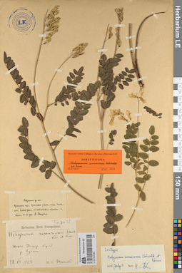 LE 01053240