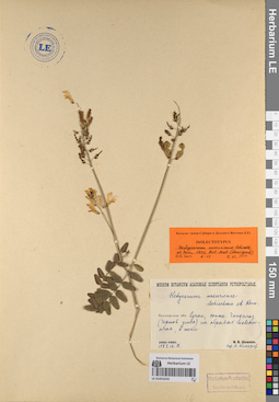 LE 01053242
