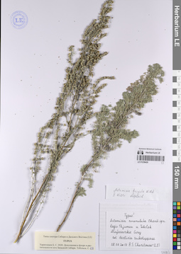 LE 01239420
