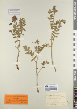 LE 01053165