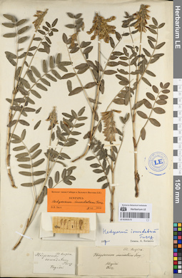 LE 01053172