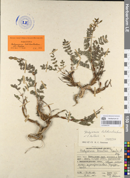 LE 01053174