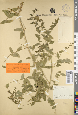 LE 01053315