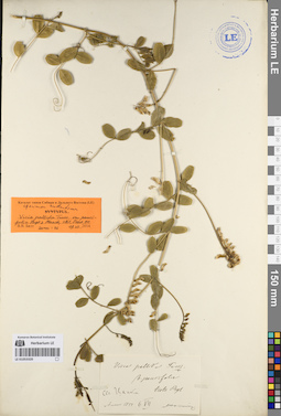 LE 01053320
