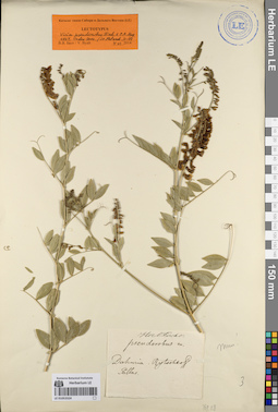 LE 01053324