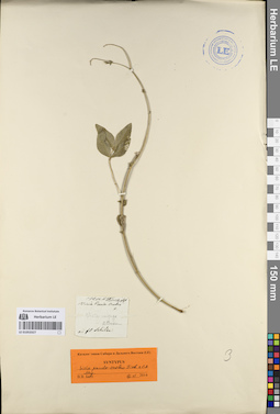 LE 01053327