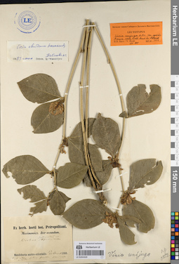 LE 01053329