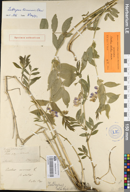 LE 01053343